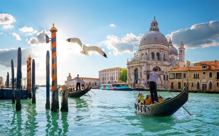 MSC LIRICA | MSC CRUISES - Montenegro, Grecia, Italia