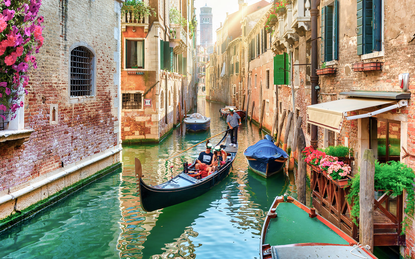 MSC ARMONIA | MSC CRUISES - Italia, Grecia, Croacia