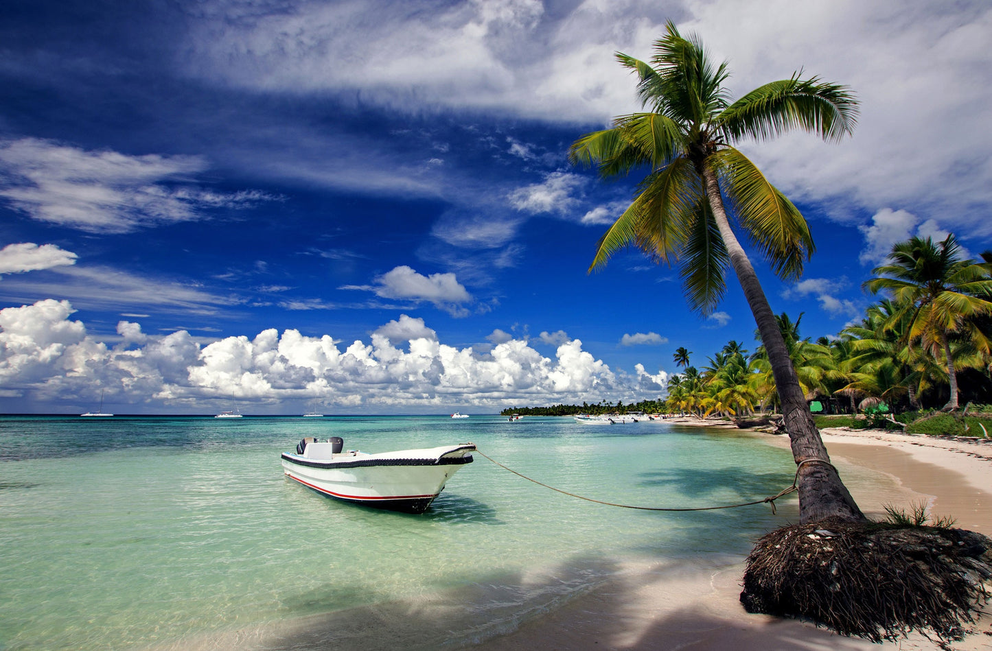 COSTA Fascinosa - Jamaica, Bahamas, República Dominicana