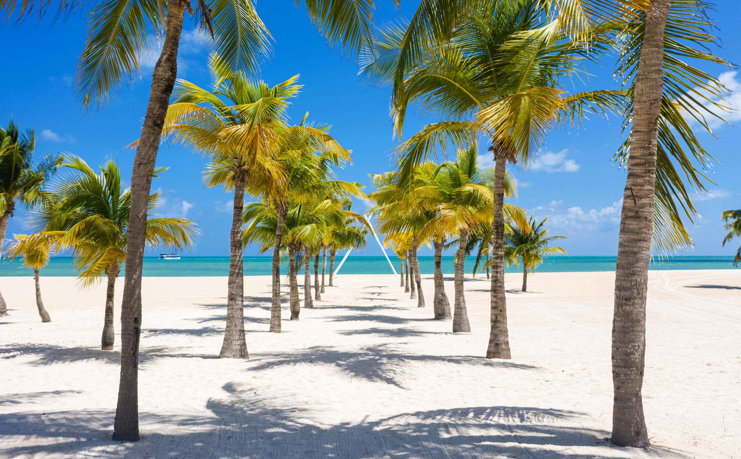 MSC SEASHORE - Nassau, Ocean Cay, Costa Maya, Cozumel