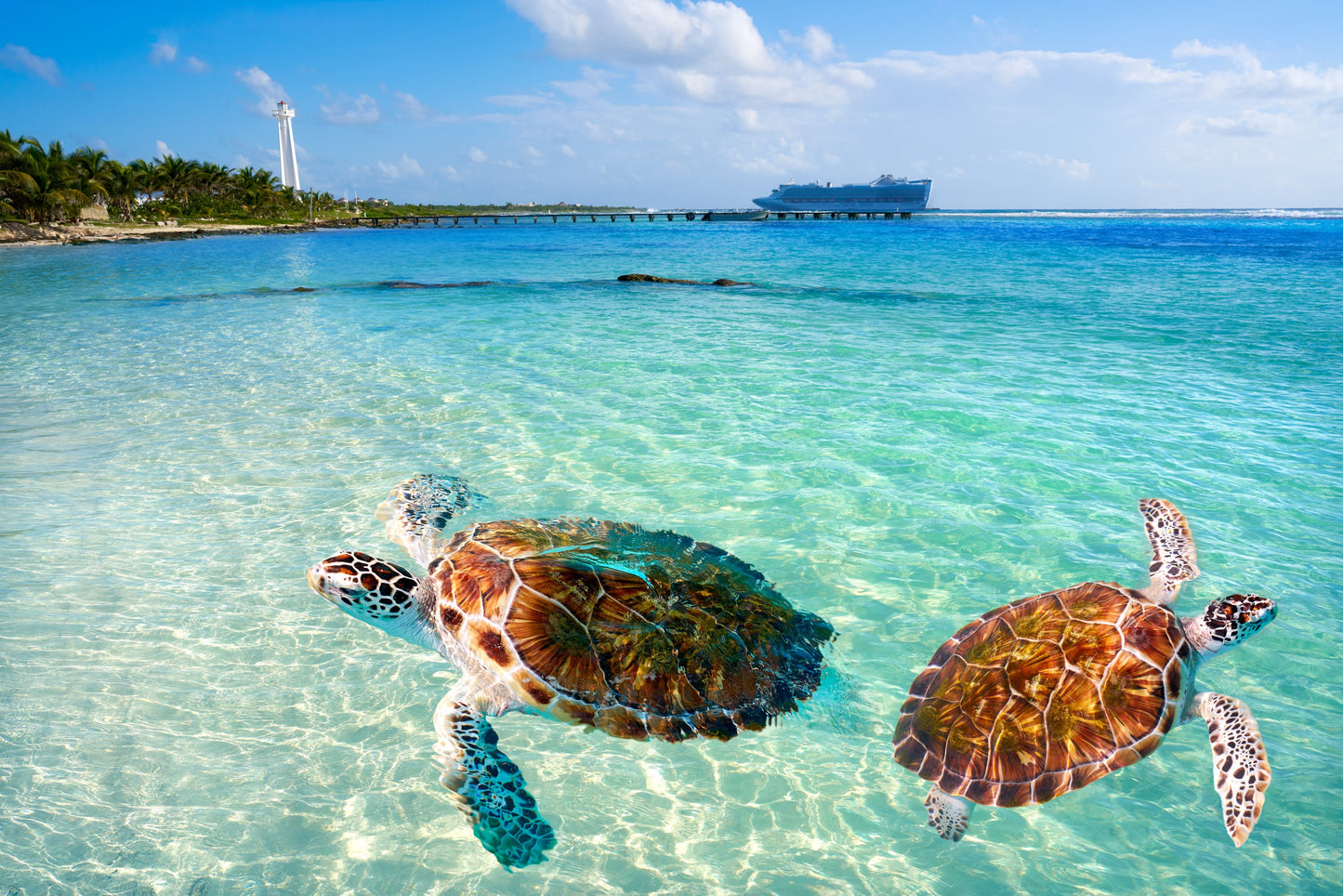 MSC SEASHORE - Nassau, Ocean Cay, Costa Maya, Cozumel