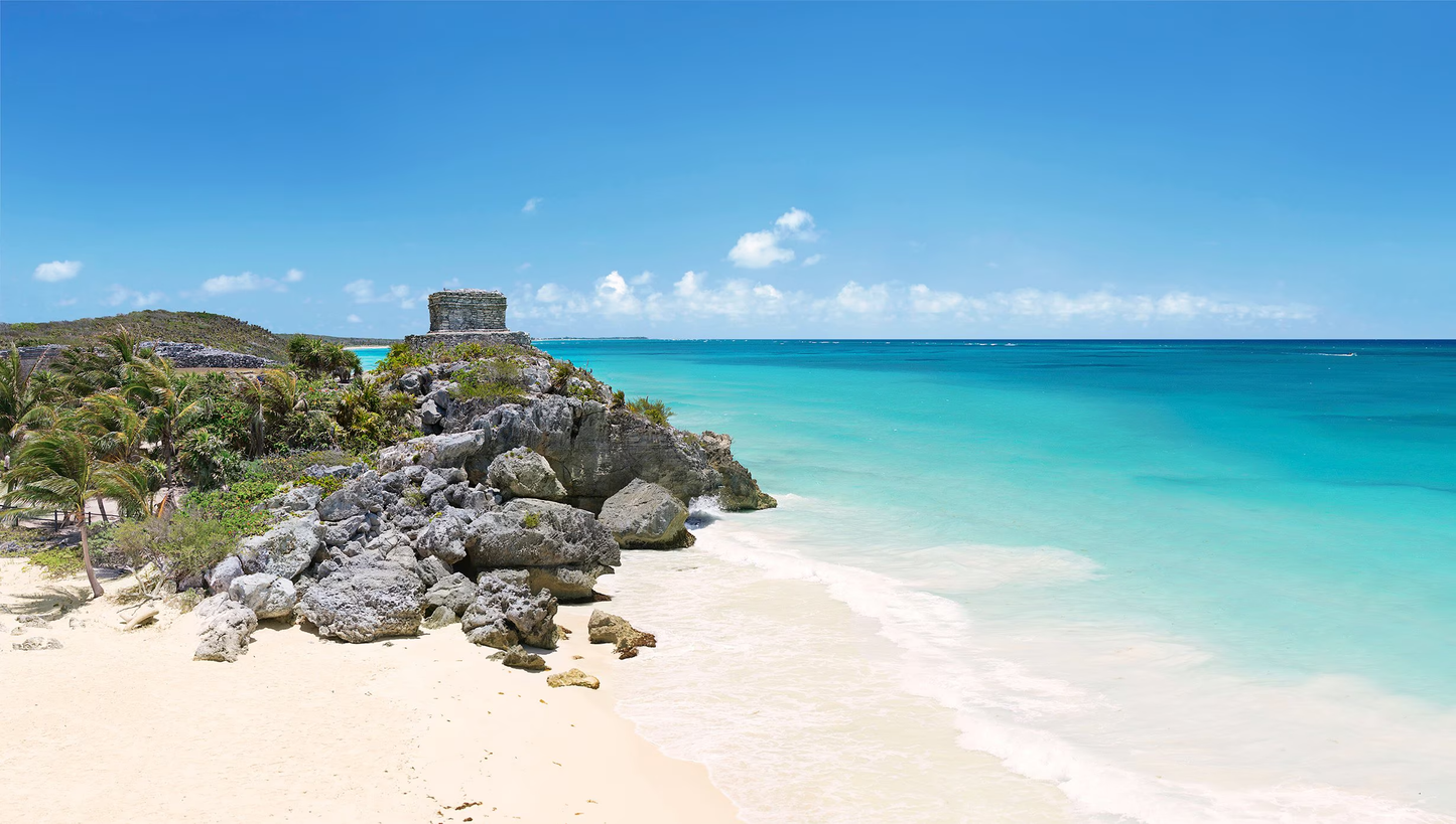MSC SEASCAPE | MSC CRUISES -  Costa Maya, Roatán, Cozumel