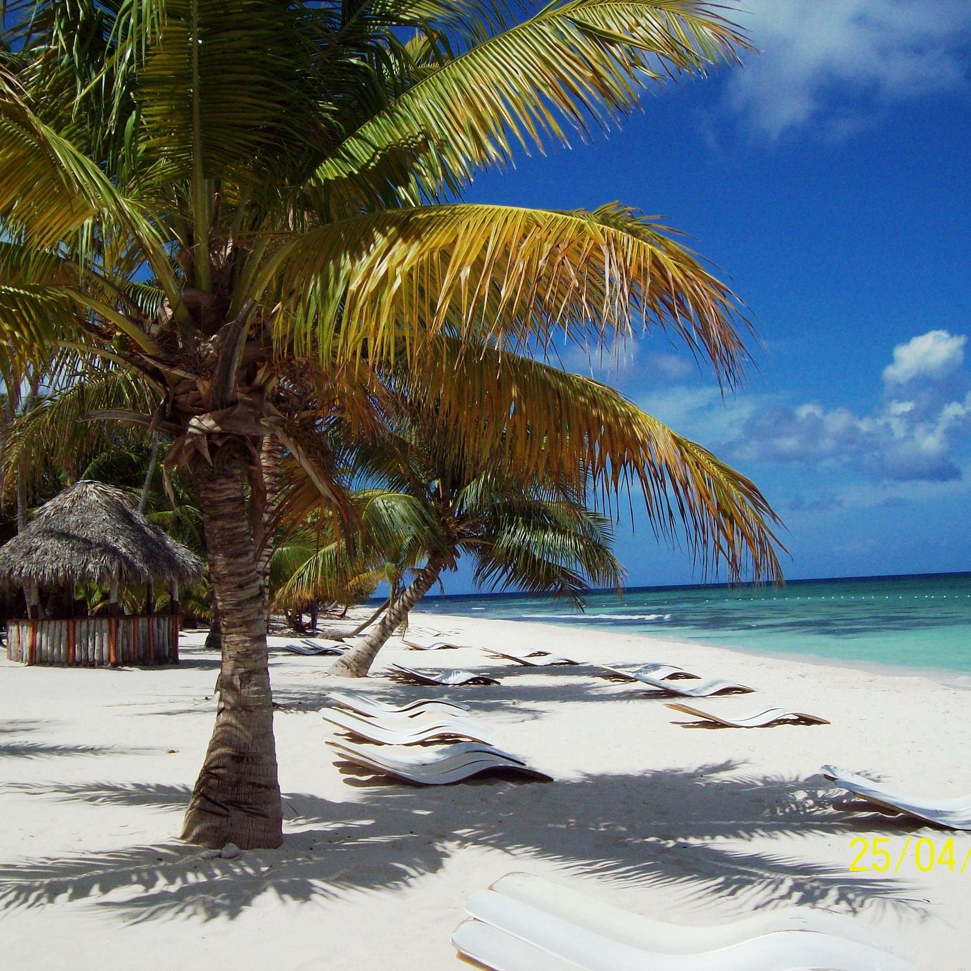 COSTA Fascinosa - Jamaica, Bahamas, República Dominicana